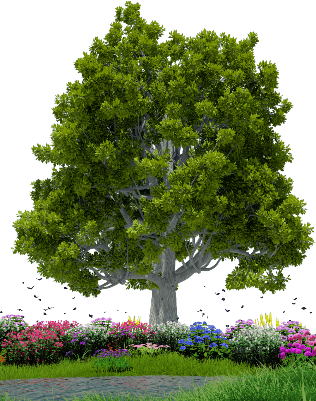 Ecological Footprint ecological-footprint